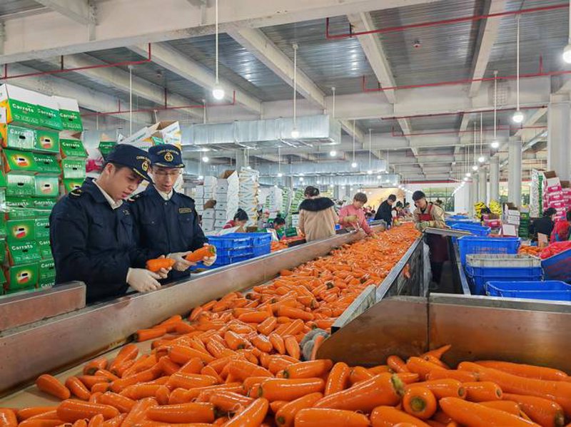农网贸易有限公司：连接城乡的新桥梁