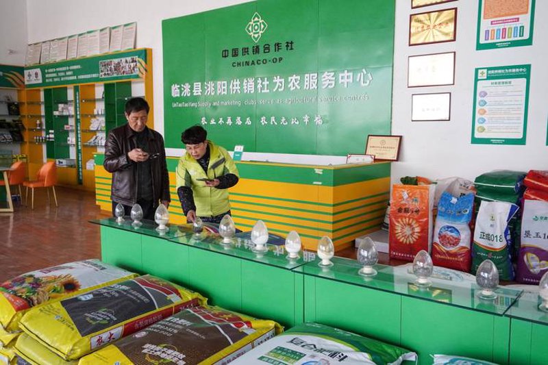 现代农业贸易风向标：农网贸易有限公司引领行业发展